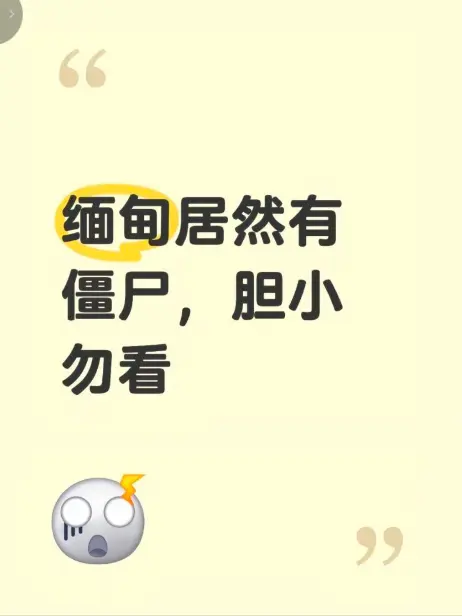 缅甸僵尸出土事件视频-高清无删减完整版在线免费播放-揭秘缅北神秘事件真相全程录像